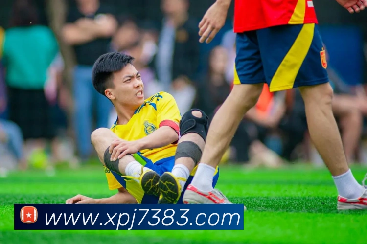 多媒体互动体验